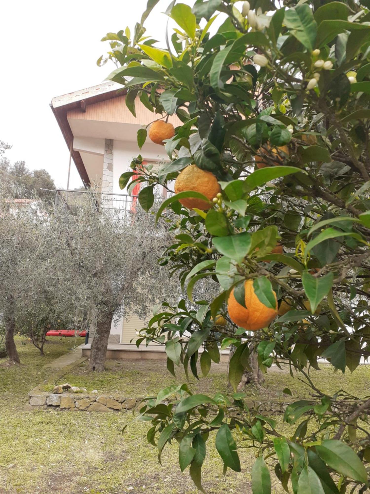 Casetta Al Mare Giustenice Dış mekan fotoğraf